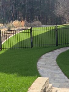 iron fence 3